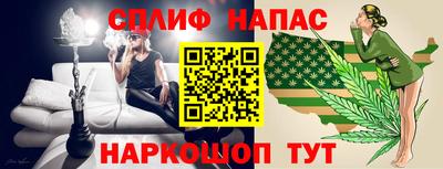 прущие грибы Кандалакша
